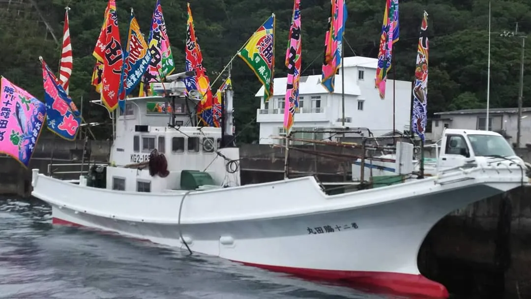 新鮮な魚